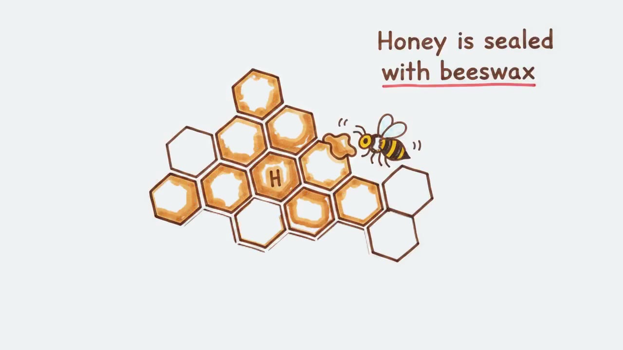 How bees make honey, drawn in marker